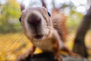 Завтра в Киеве резко потеплеет: температура подскочит до +15°