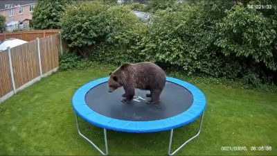 Медициналық тексеру фото xxx