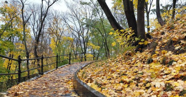 Погода в Києві на 9-13 грудня