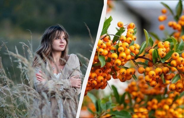 Що потрібно вдягнути сьогодні на удачу: прикмети в українське свято 7 жовтня 2025