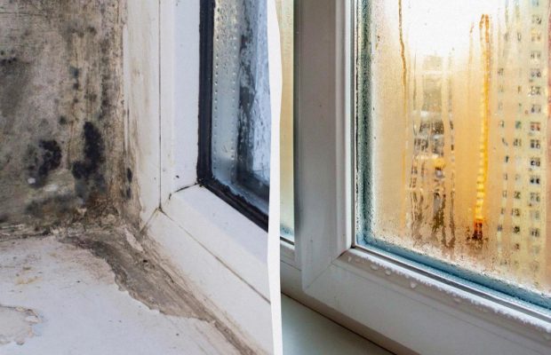 Коли потрібно відчиняти вікна, щоб не було цвілі та конденсату: названо точний час