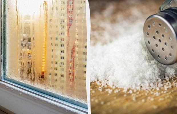 Восени та взимку на вікна радять ставити миски з сіллю: навіщо це потрібно