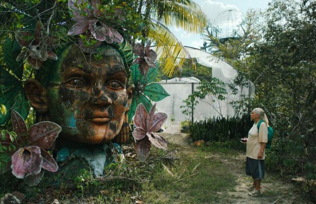 "Голубая тропа": пять причин не пропустить фантастическое бразильское роудмуви