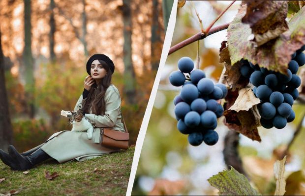 Чого не можна робити батькам: заборони та звичаї у свято 24 жовтня 2025