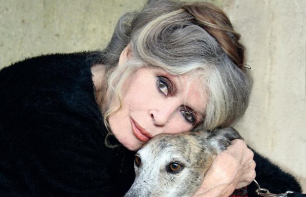 Брижит Бардо вышла на связь после того, как ее "похоронили" в сети