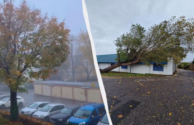 У Німеччині вирує винятковий шторм "Йошуа", дерева вириває з коренем (фото, відео)