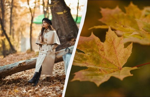 Важливий день для всіх українців: що потрібно зробити у свято 26 жовтня 2025