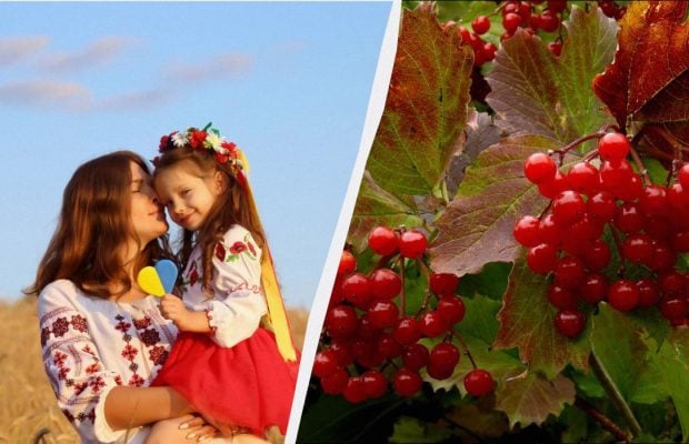 В Україні відзначають офіційне свято: що потрібно зробити 27 жовтня 2025