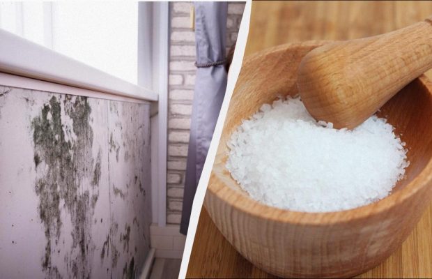 Якщо у квартирі холодно і сиро без опалення: як прибрати вологу народними засобами