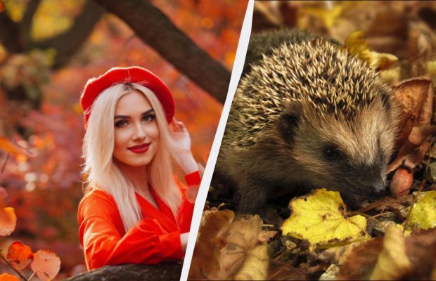 Сьогодні вітаємо військових: яке свято в Україні 29 жовтня 2025 року