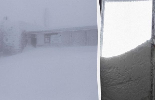 Карпати завалило снігом: перемети вже 80 сантиметрів (фото)