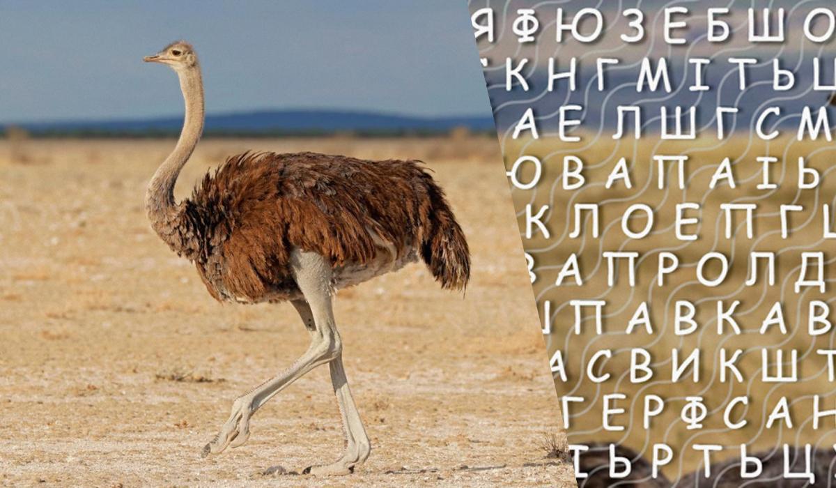 Ваша задача - за отведенное время найти среди предложенных букв слово "Аляска" коллаж УНИАН, фото ua.depositphotos.com, УНИАН Ваша задача - за отведенное время найти среди предложенных букв слово "Аляска" коллаж УНИАН, фото ua.depositphotos.com, УНИАН