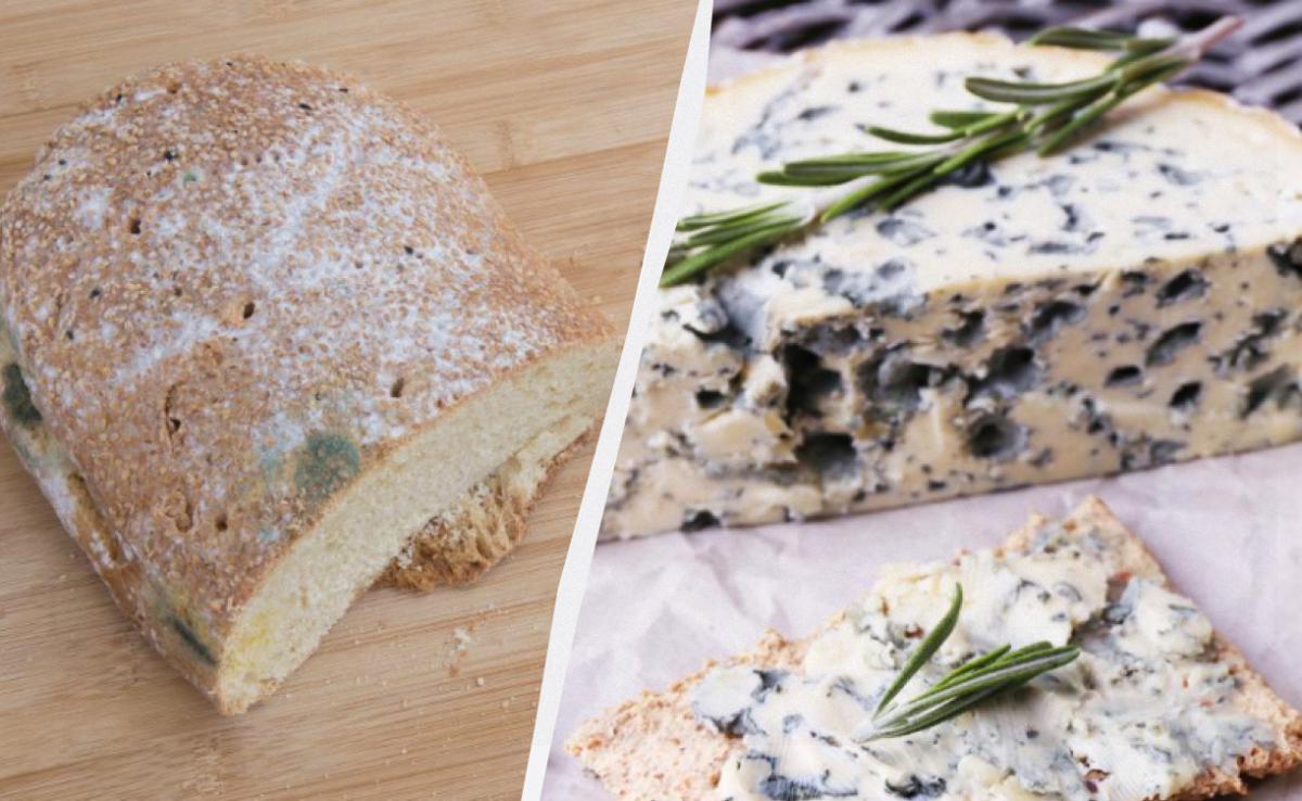 La Muffa sugli Alimenti: Quando è Pericolosa e Come Prevenirla