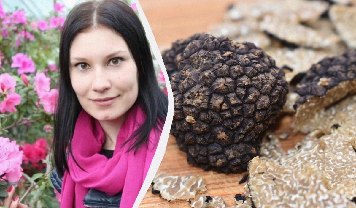 Tartufi in Ucraina: una scoperta con precisazioni importanti sulla sicurezza alimentare