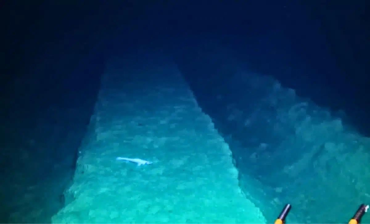 L'impatto devastante dell'estrazione mineraria sul fondale oceanico: 44 anni dopo un esperimento che continua a sconvolgere gli scienziati