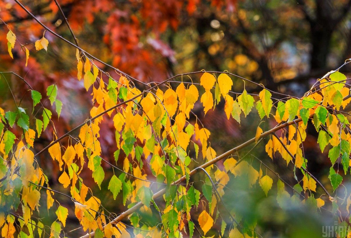 Прикмети на сьогодні Прикмети на сьогодні
