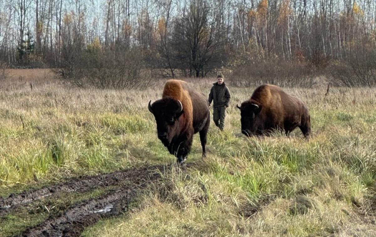 фото - facebook.com/evgeniy.medvedovskiy