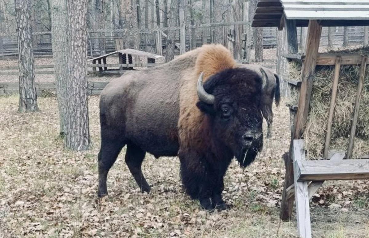  / фото - facebook.com/evgeniy.medvedovskiy