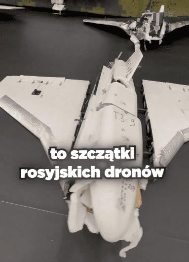 Российский дрон, который сбили в Польше / Фото: скриншот с видео