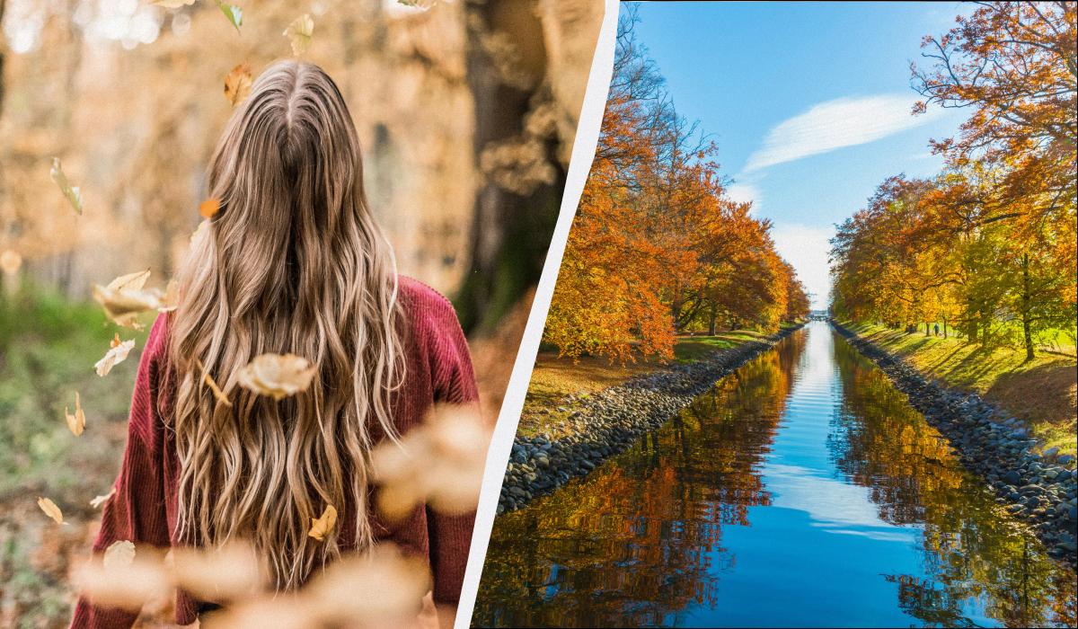 какой сегодня праздник