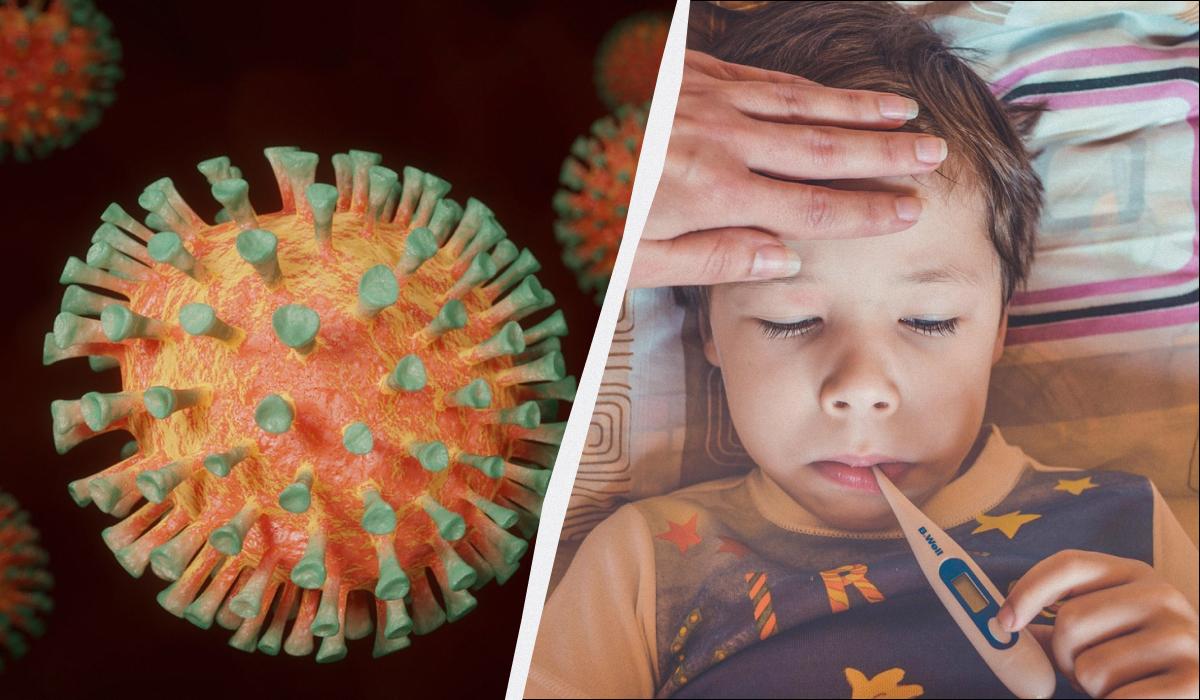 вірус коксакі вірус коксакі