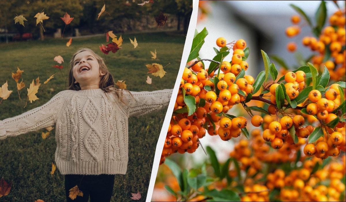 Il 6 novembre: una data ricca di festività e tradizioni culturali internazionali