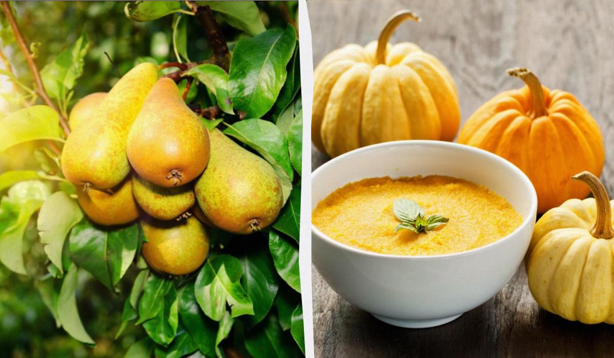 Alimentazione Equilibrata per l'Autunno: 8 Prodotti Stagionali contro l'Infiammazione per una Salute Migliore