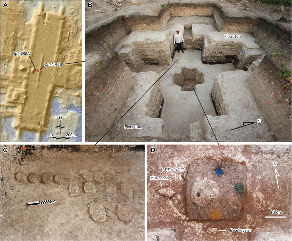 Scoperta dell'antico insediamento maya di Aguada Fénix: un esempio unico di architettura e cosmologia maya in Messico