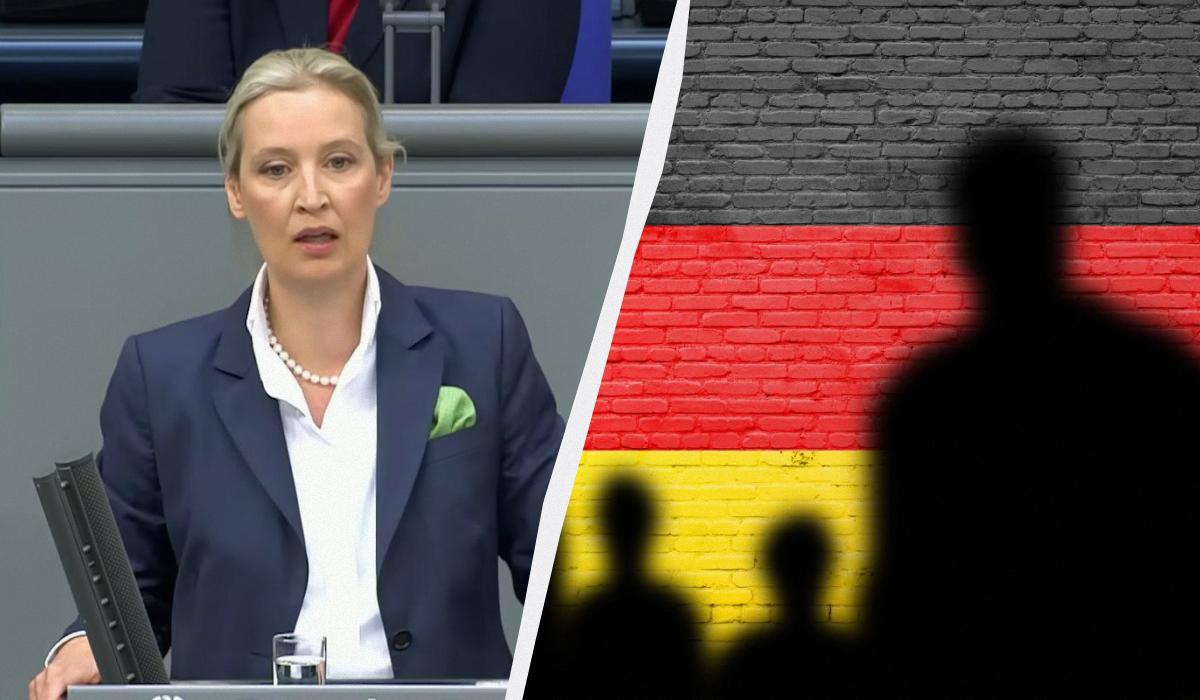 Члены "АдГ" систематически присылали правительству Германии многочисленные парламентские запросы / Коллаж УНИАН, фото - скриншот, ua.depositphotos.com Члены "АдГ" систематически присылали правительству Германии многочисленные парламентские запросы / Коллаж УНИАН, фото - скриншот, ua.depositphotos.com