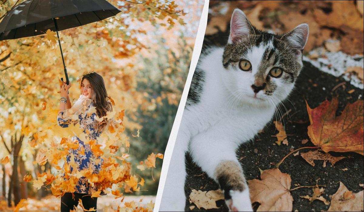 яке сьогодні свято яке сьогодні свято