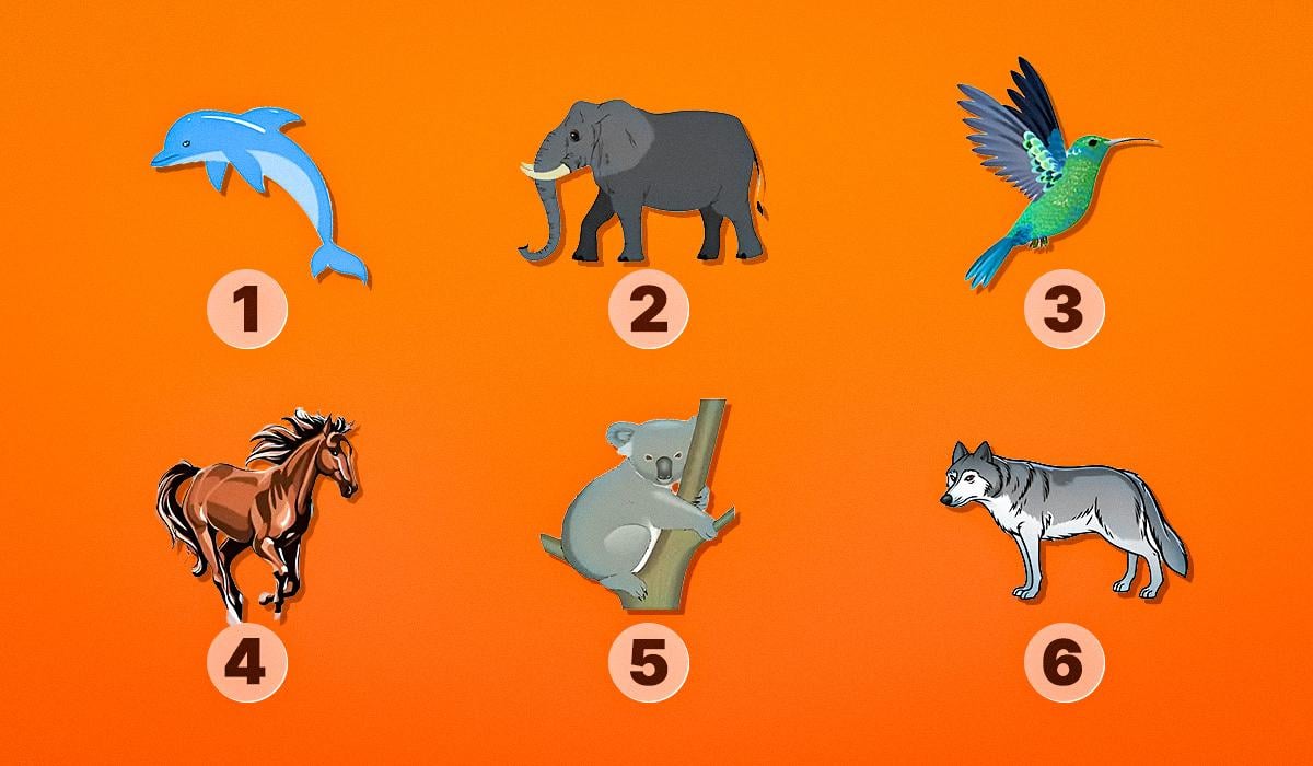 тест на риси характеру тест на риси характеру