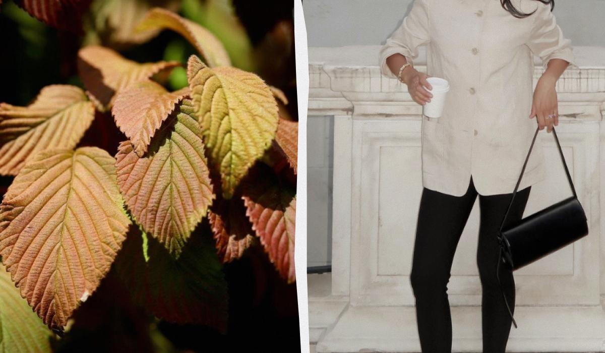 Il Ritorno dei Leggins degli Anni '80: Una Nuova Vita per un Classico della Moda