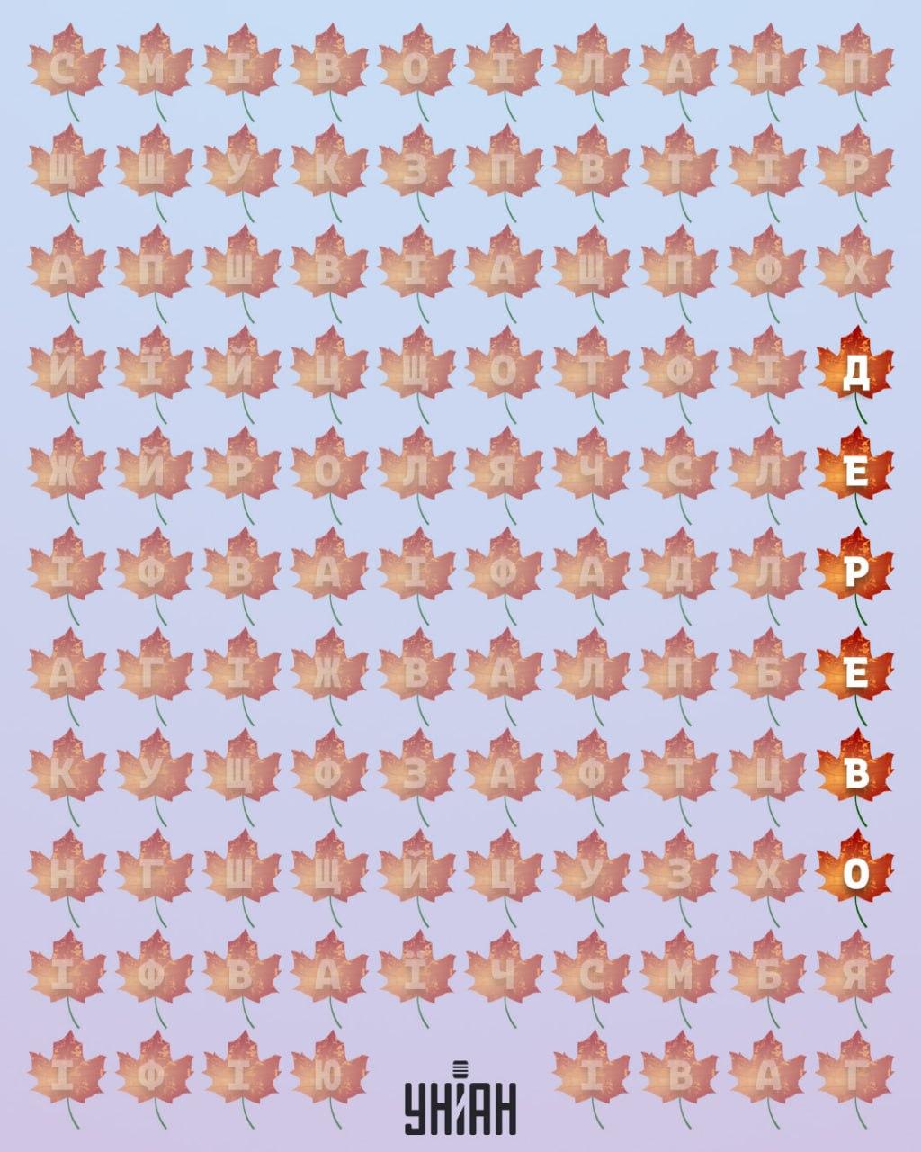 колаж УНІАН колаж УНІАН