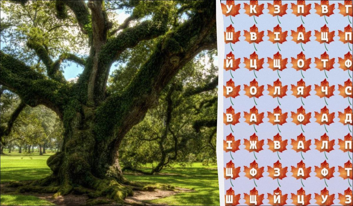 Чколаж УНІАН, фото Pxhere Чколаж УНІАН, фото Pxhere