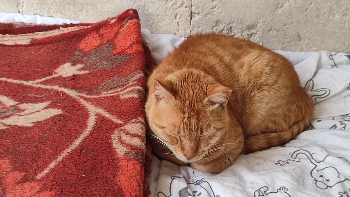 Пофото ua.depositphotos.com Пофото ua.depositphotos.com