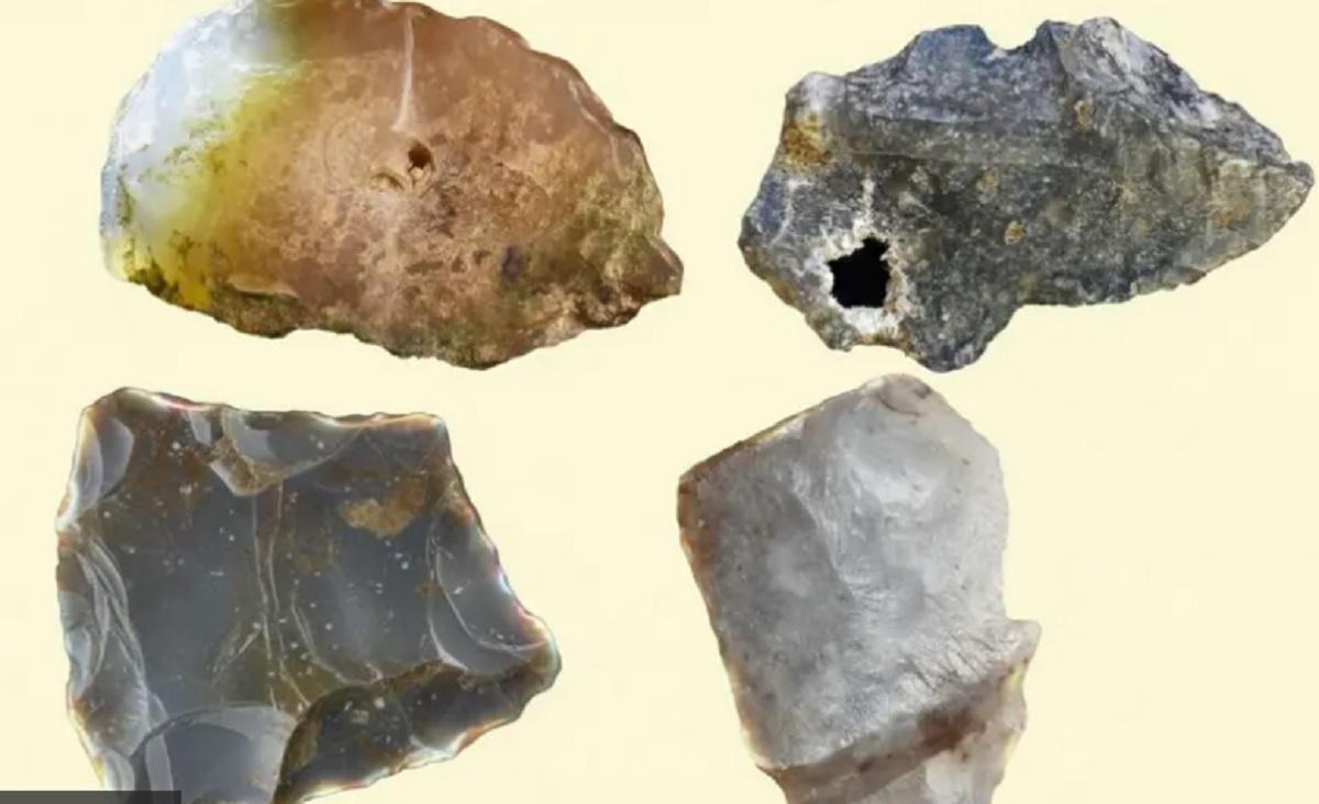 Scoperta Rivoluzionaria sull'Evoluzione Umana: Gli Esseri Umani Hanno Creato Strumenti di Lavoro Molto Prima di Quanto Si Pensasse