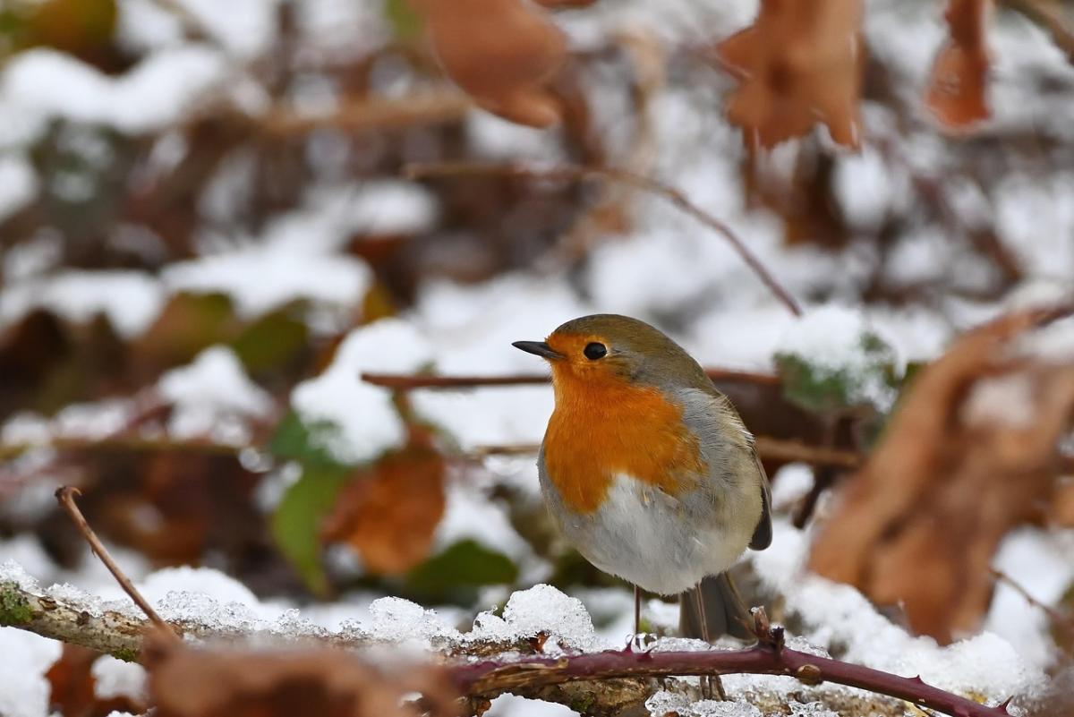 какой сегодня праздник какой сегодня праздник