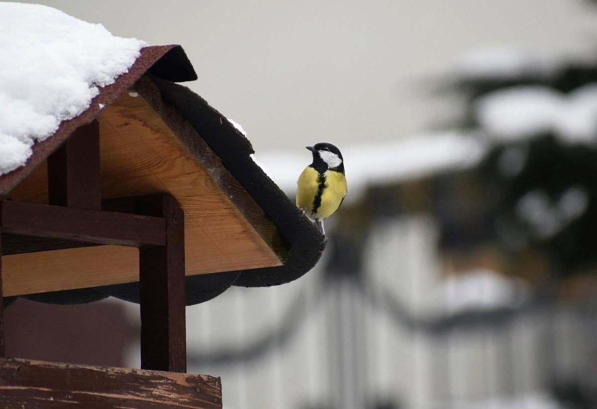 Приметы 2 декабря