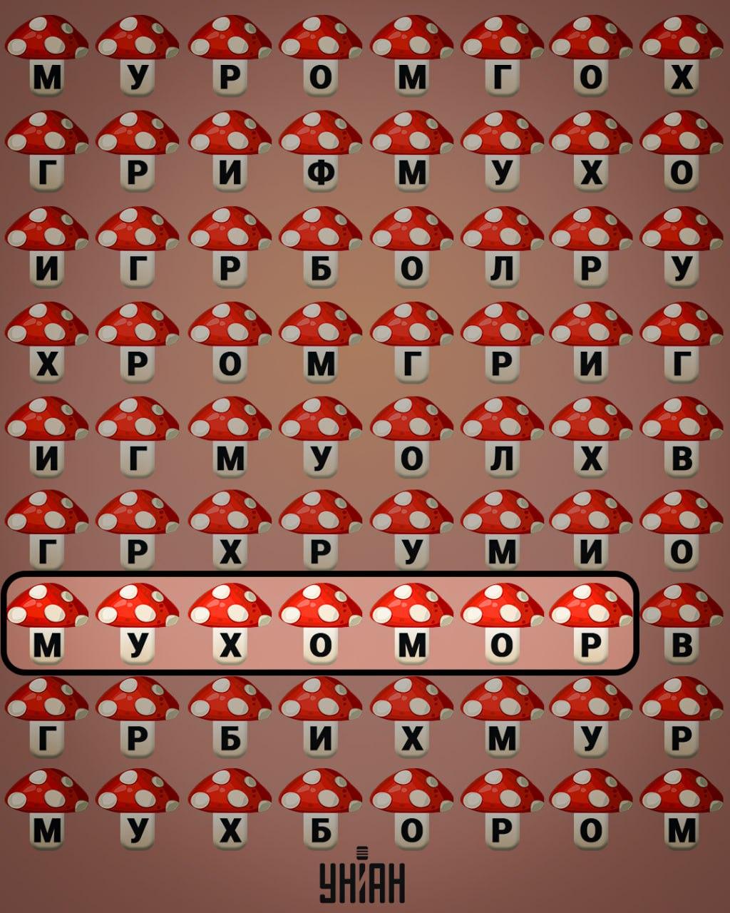 колаж УНІАН