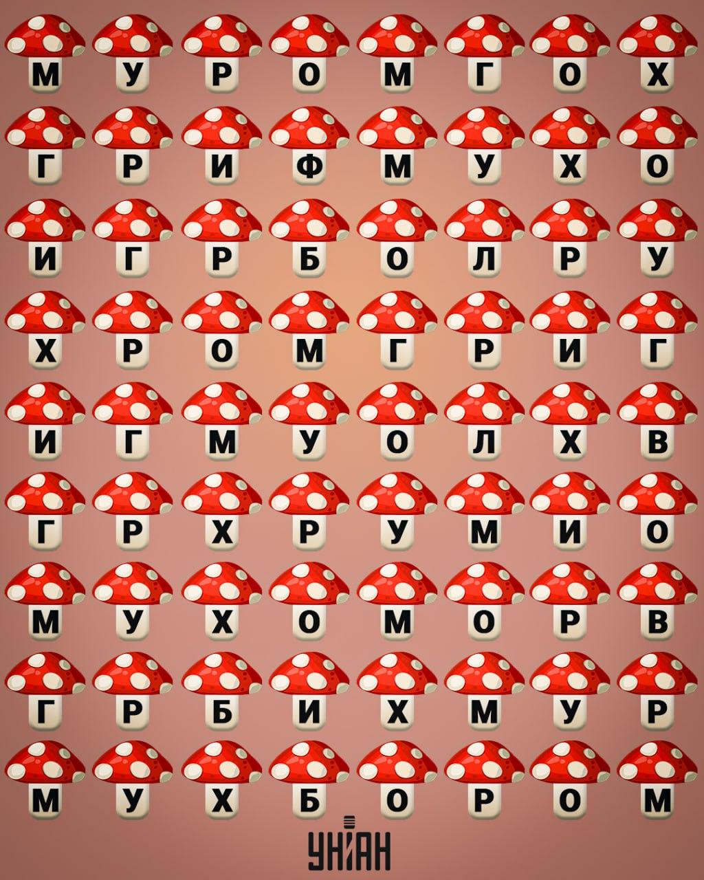 колаж УНІАН