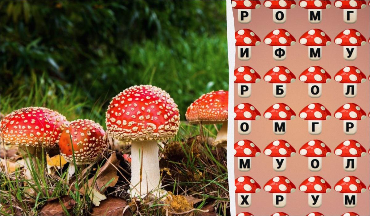 Migliora la tua Attenzione ai Dettagli con questo Semplice Test di Velocità e Concentrazione