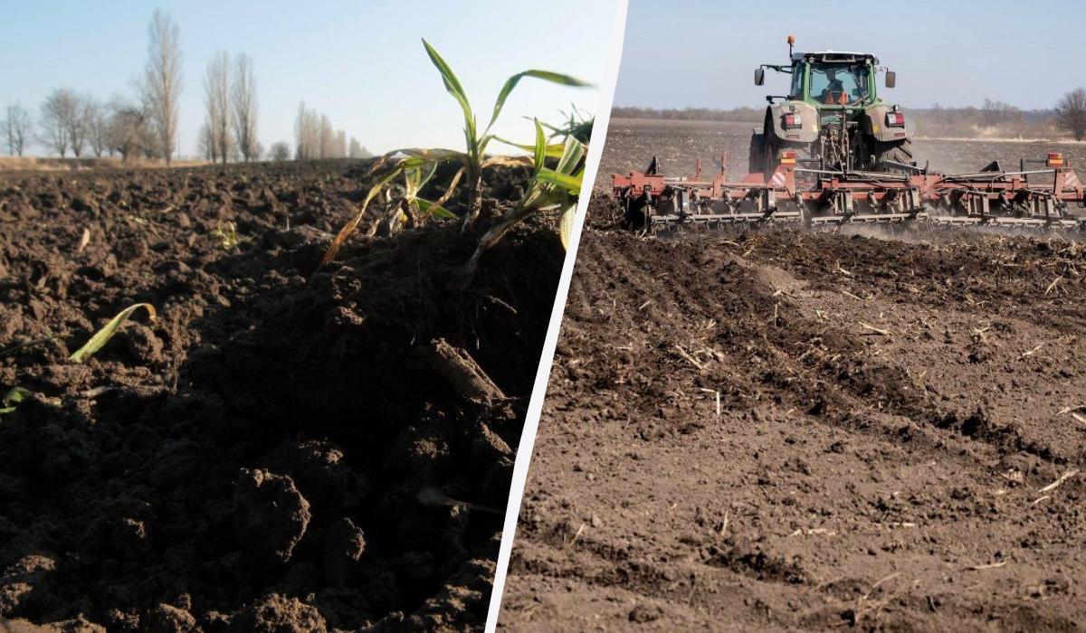 Il Terriccio Nero: il Suolo più Fertile del Mondo e le Minacce alla sua Esistenza