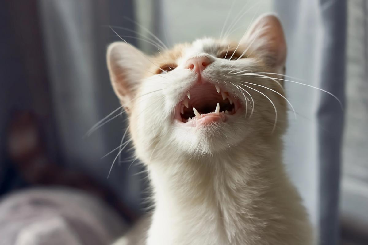  / фото ua.depositphotos.com