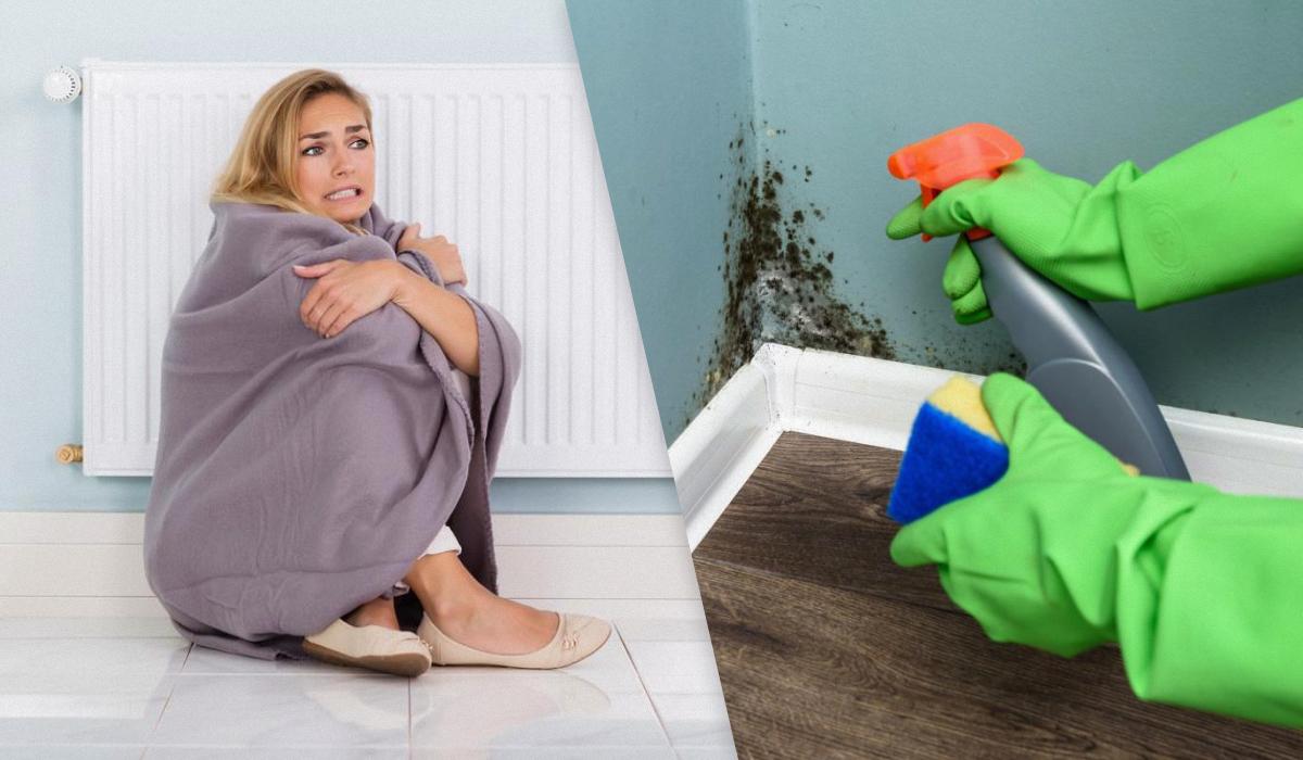 Пліснява росте здебільшого на органічних матеріалах, тому часто з'являється на дереві, тканині та стінах / Колаж УНІАН, фото - ua.depositphotos.com