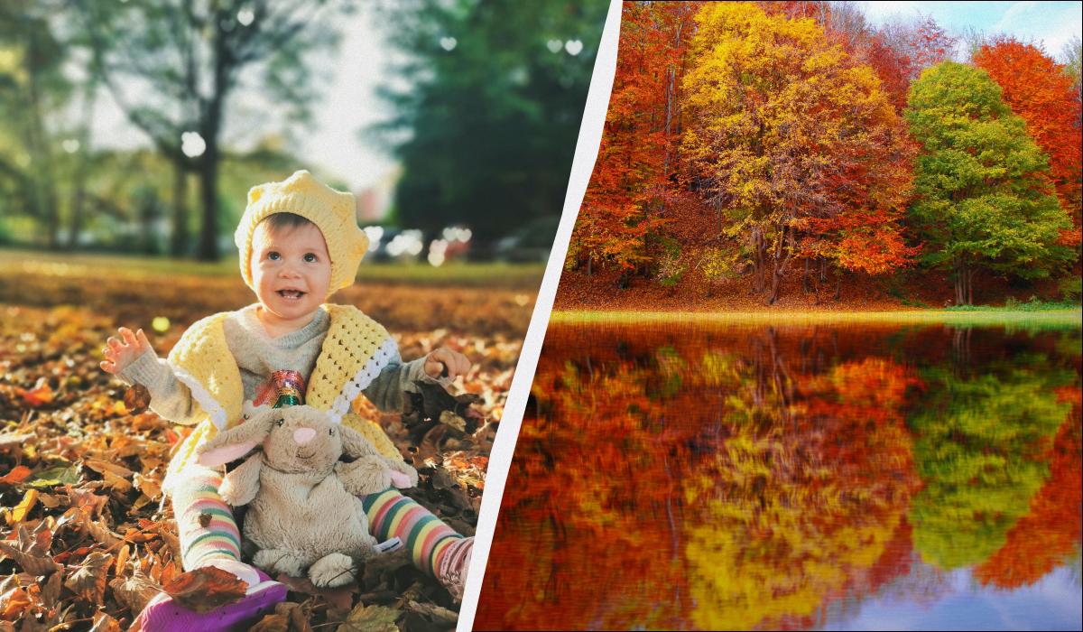 Il 12 Novembre: Una Giornata di Riflessione e Celebrazione per Ergonomisti e Spirituali