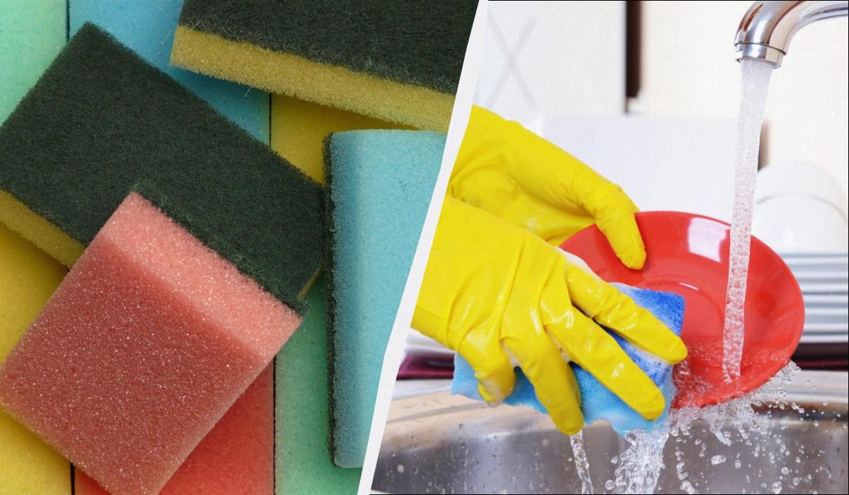 що означають кольори губок