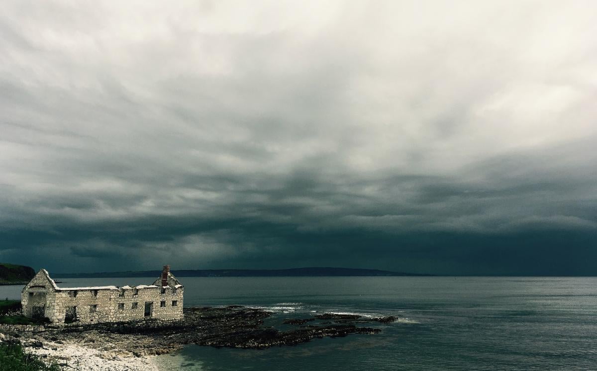 Scopri l'isola nascosta dell'Irlanda del Nord: Rathlin, un paradiso di biodiversità