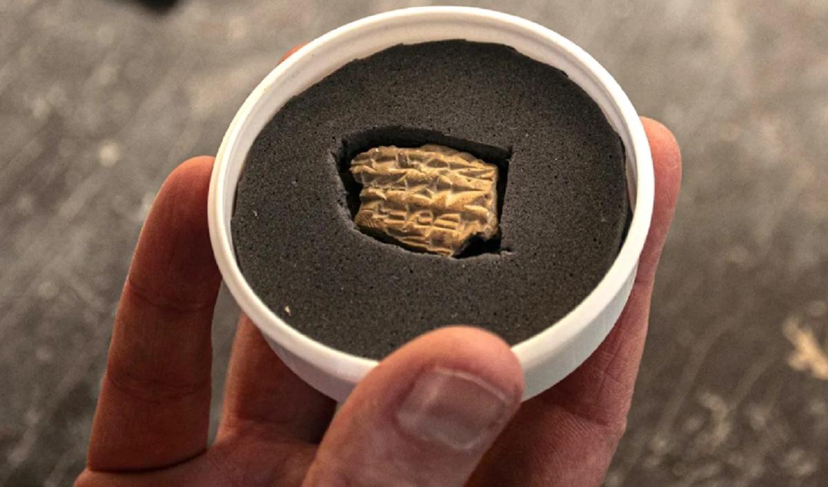 Йолі Шварц, Управління старожитностей Ізраїлю