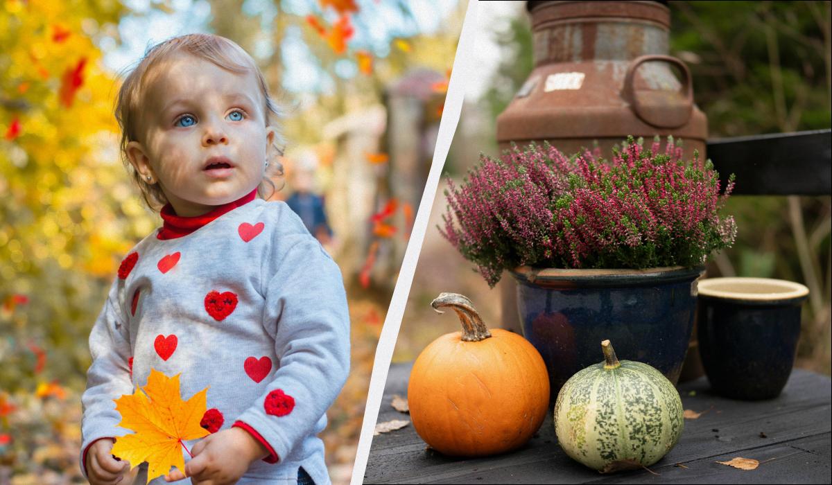 яке сьогодні свято яке сьогодні свято