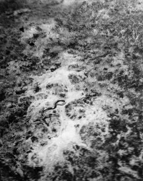 Фото, яке зробив пілот / Вікіпедія